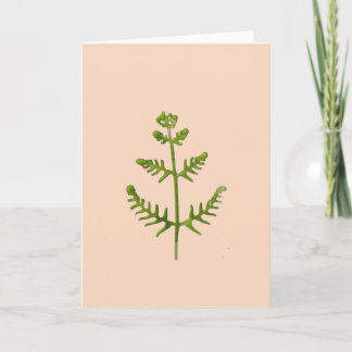 Carte vert printemps