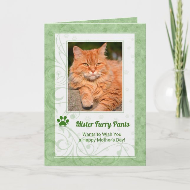 Carte Vert riche de la fête des mères de chats photo (Devant)