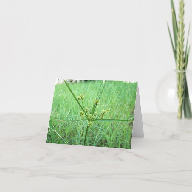 Carte Vert, vert (Devant)