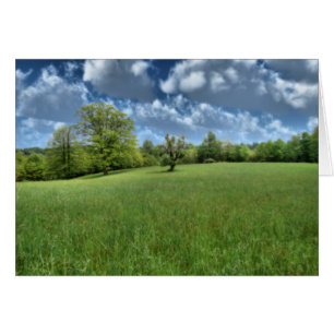 Carte verte Appalaches