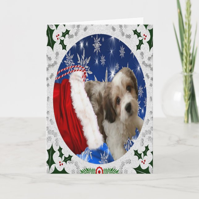 Carte verte, Christmas Dog (Devant)