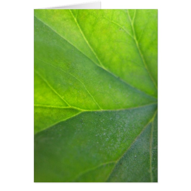 Carte verte de feuille (Devant)