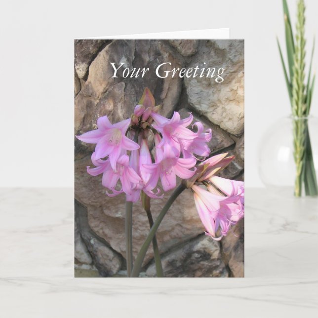 Carte - vide - Dames roses (Devant)