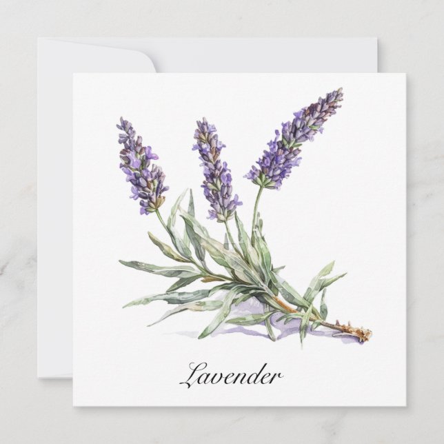 Carte Vie de plantes : Lavande, personnalisable (Devant)
