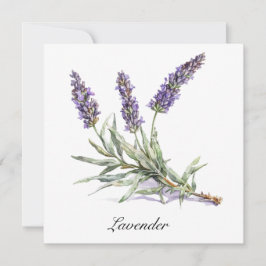 Carte Vie de plantes : Lavande, personnalisable