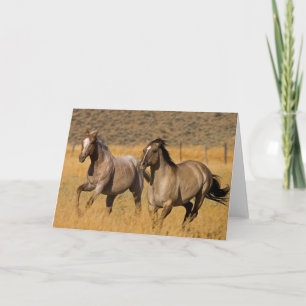 Carte Vie de ranch au Ponderosa Ranch
