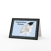 Vieille obtention du diplôme anglaise de chien de