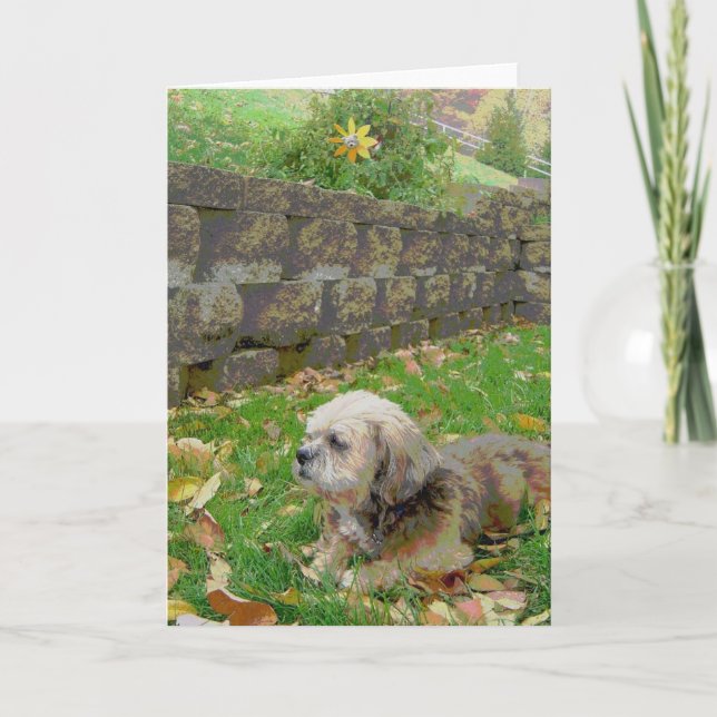 Carte vierge avec adoptif (Devant)