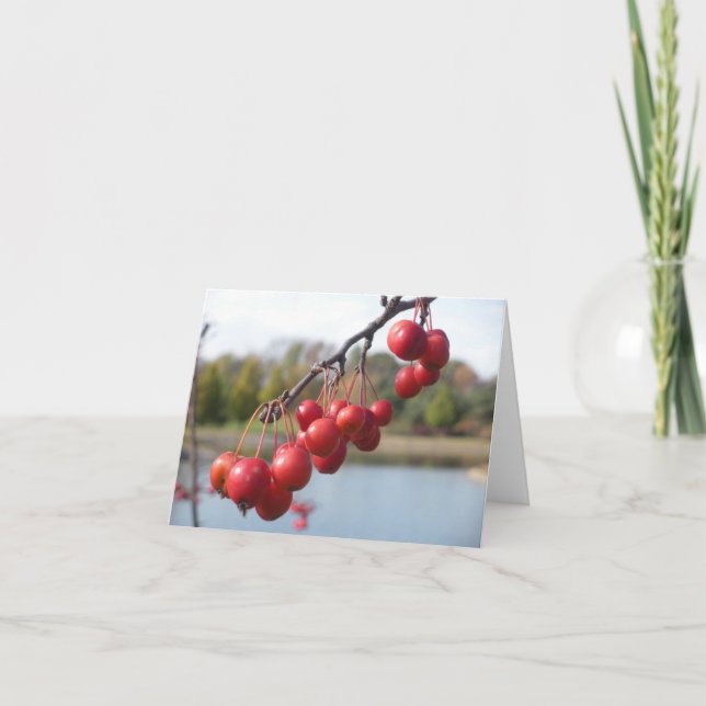 Carte vierge - Berries rouges (Devant)