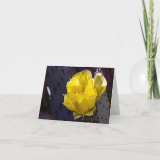Carte vierge Cactus en fleurs