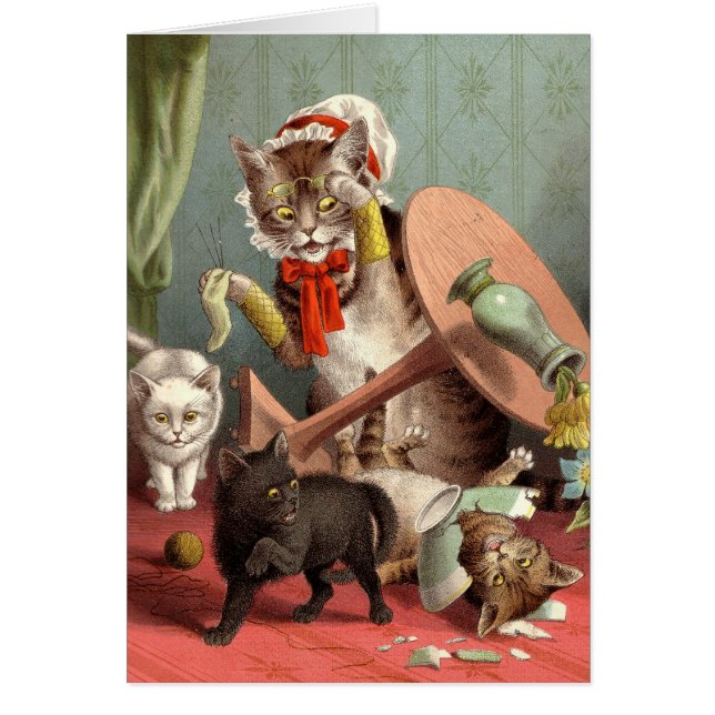 Carte vierge - chaos de chat (Devant)