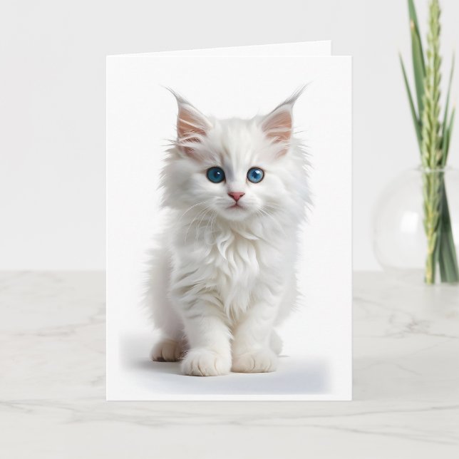 Carte vierge Chat blanc Fluffy aux yeux bleus et p (Devant)