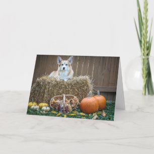Carte vierge Corgi d'automne/Halloween