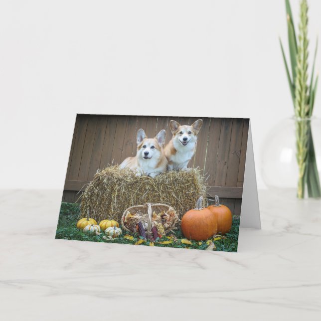 Carte vierge d'automne de corgi (Devant)