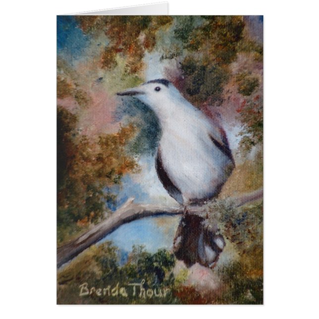 Carte vierge de Catbird gris (Devant)