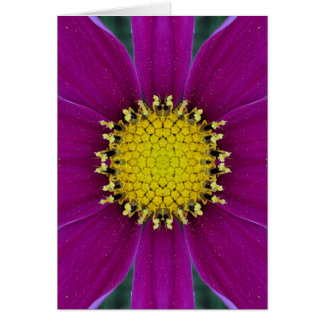 Carte vierge de fleur