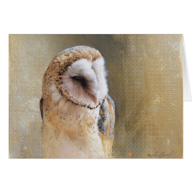 Carte vierge de hibou de grange d'Andrew Denman (Devant Horizontal)