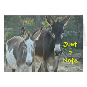 Carte vierge de mules