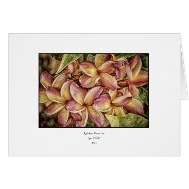 Carte vierge de Plumeria d'arc-en-ciel (Devant horizontal)