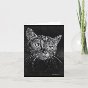 Carte vierge de visage de chat