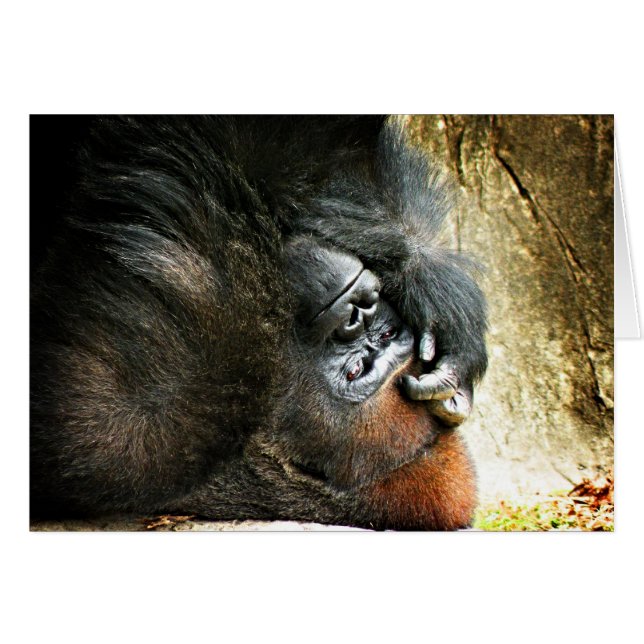 Carte vierge Gorilla Lounge (Devant Horizontal)