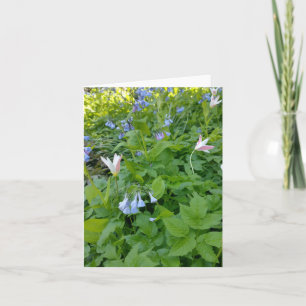 Carte vierge Philippiens 4:4
