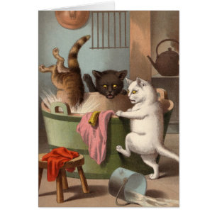 Carte vierge - série vilaine de chat - jour de