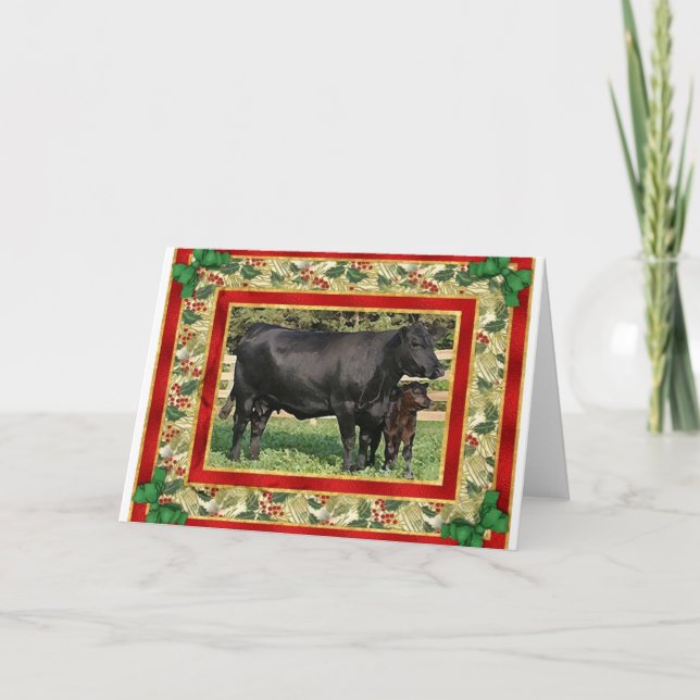 Carte vierge vierge de Noël de vache et de veau à (Devant)