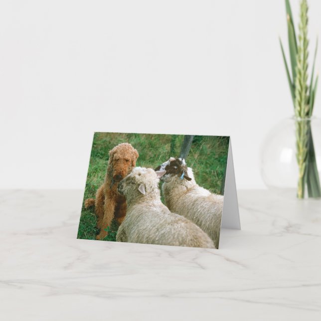 Carte Vieux amis (Devant)