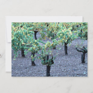Carte Vignoble, Napa Valley, Californie de la forêt