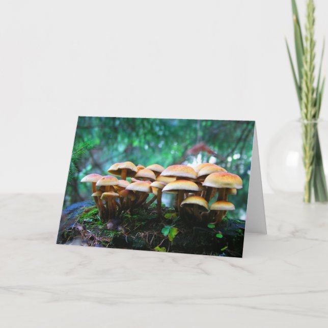 Carte village de champignons (Devant)