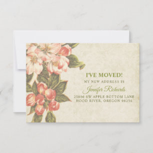 Carte vintage Apple Blossom Just Moved