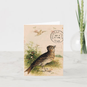 Carte Vintage Bird, Anniversaire
