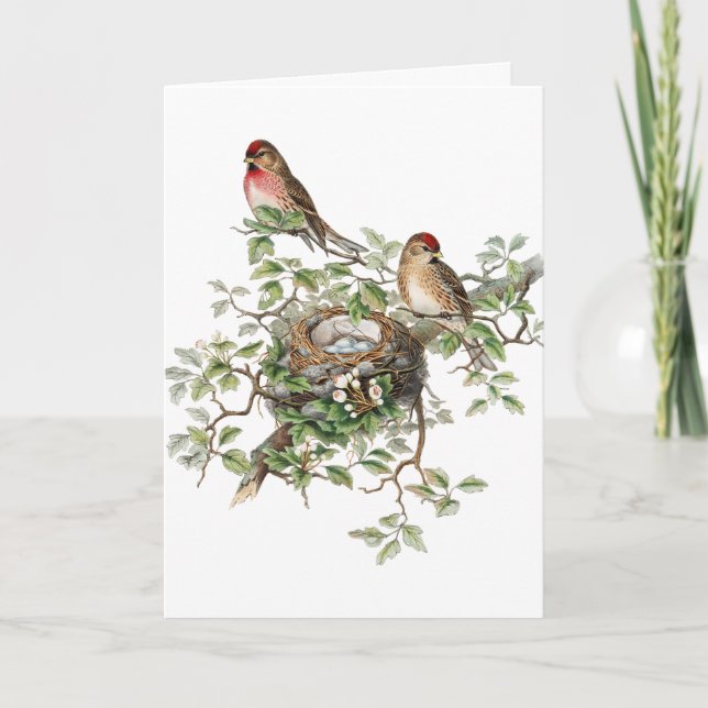 Carte Vintage Birds, German Birthday (Devant)