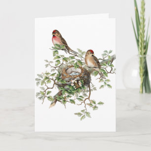 Carte Vintage Birds, German Birthday
