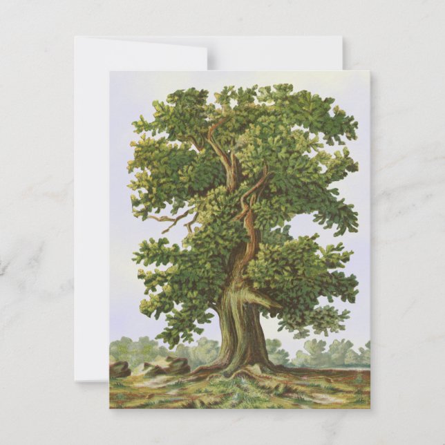 Carte vintage blanche en chêne 4,25 po x 5,5 po (Devant)
