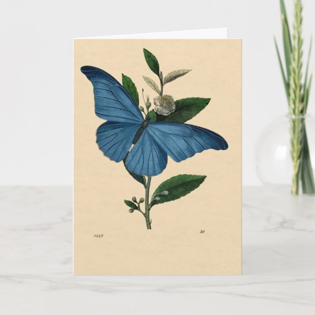 Carte Vintage Bleu Papillon (Devant)