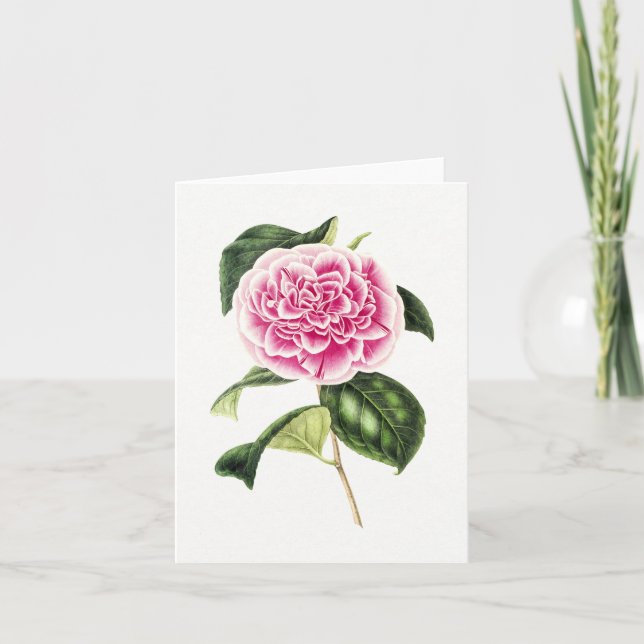 Carte vintage Botanique Rose Camellia Note (Devant)