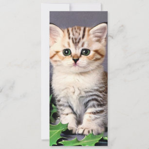 Carte Vintage Christmas Kitten et Holly Card