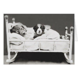 Carte Vintage de chien dormant et de chiot