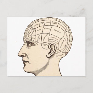 Carte vintage de l'anatomie du cerveau