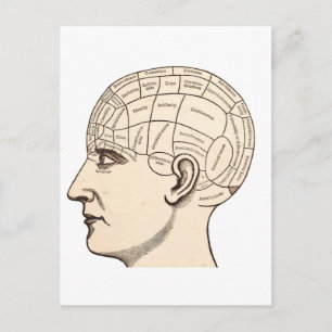Carte vintage de l'anatomie du cerveau