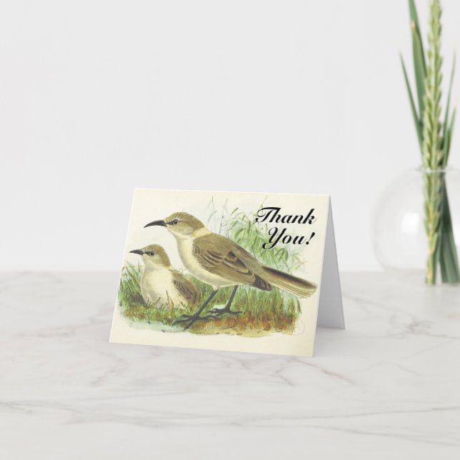 Carte Vintage, Deux Oiseaux, "Merci ! (Devant)