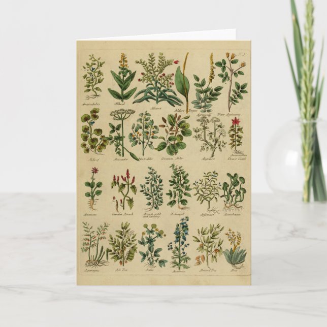 Carte Vintage Herbal Greeting Card Series (Devant)