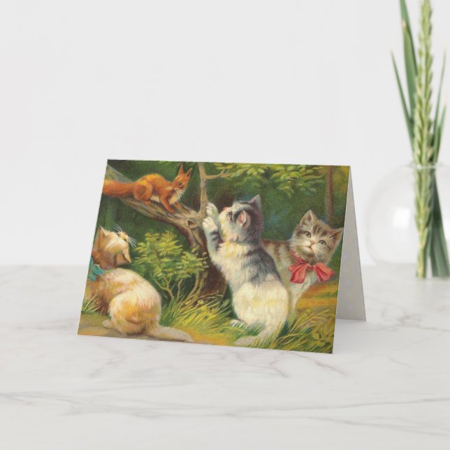 Carte Vintage Kitten Birthday Card (Devant)