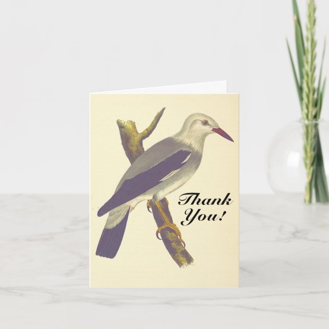 Carte Vintage Look Bird sur une branche, "Merci !" (Devant)