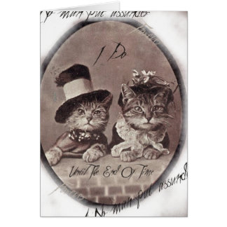 Carte vintage Love Cats