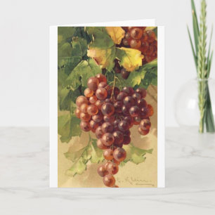 Carte Vintage - raisins sur la vigne,