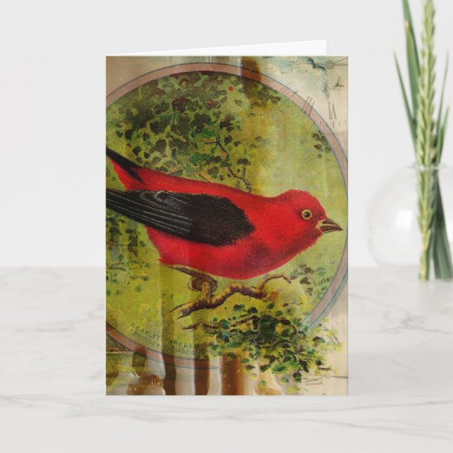 Carte Vintage Red Bird Anniversaire Collage (Devant)