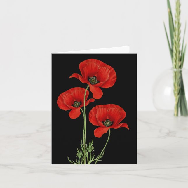 Carte Vintage Red Poppies Botanique Imprimer (Devant)